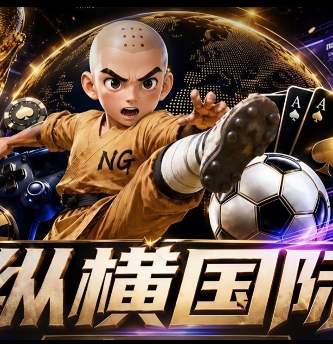 纵横国际  新上新上